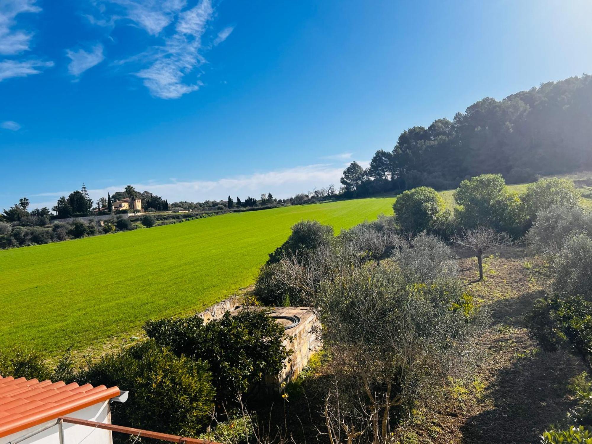 Villa Es Puig Santa Margalida Exterior foto